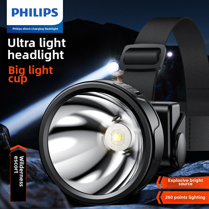 Outdoor Lighting Philips - PHILIPS SFL1342 LED-koplamp Sensorkop Zaklamp Tien