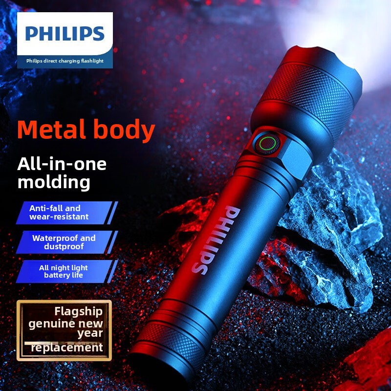 Outdoor Lighting Philips - 2025 NIEUWE Philips SFL2188 LED-zaklamp van